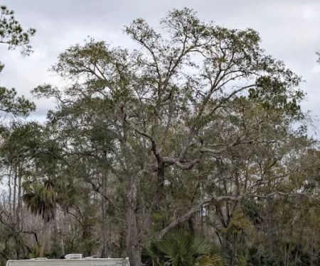 Gardner Landing Campground