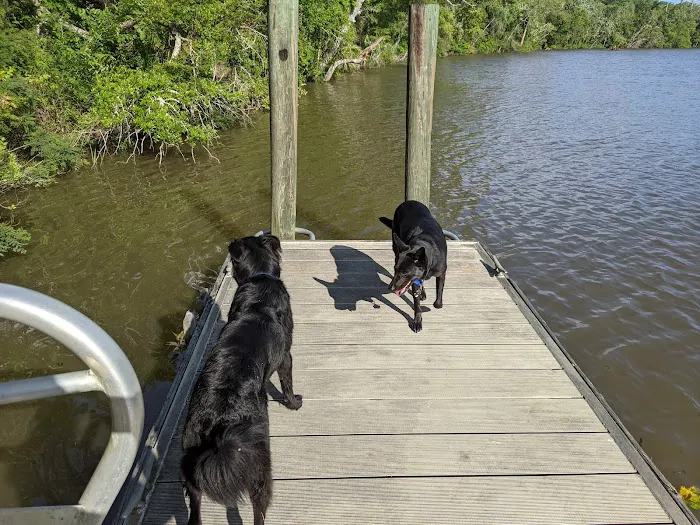 Butcher Pen Landing/Camping Picture 7