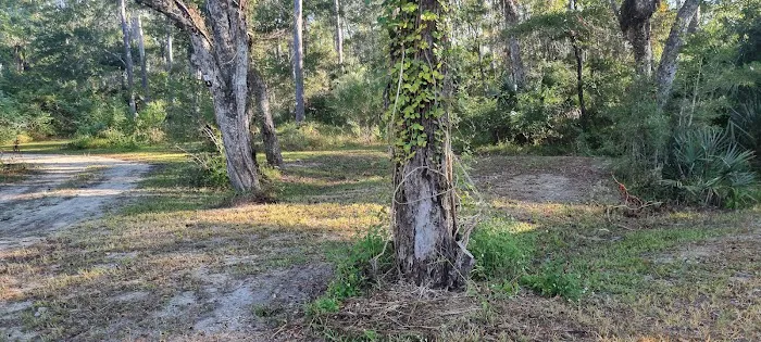Butcher Pen Landing/Camping Picture 3