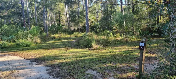 Butcher Pen Landing/Camping Picture 1