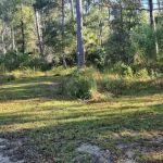 Butcher Pen Landing/Camping