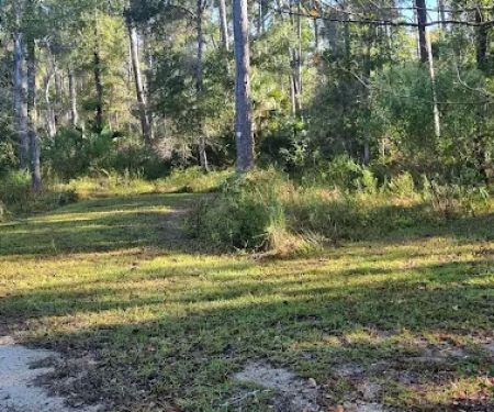 Butcher Pen Landing/Camping