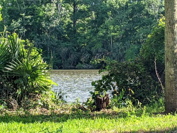 Butcher Pen Landing/Camping Picture 8