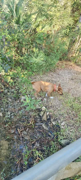 Butcher Pen Landing/Camping Picture 2