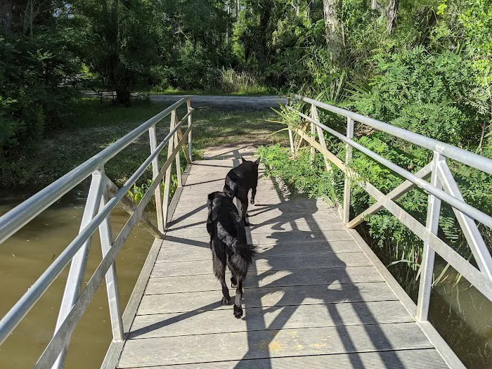 Butcher Pen Landing/Camping Picture 9