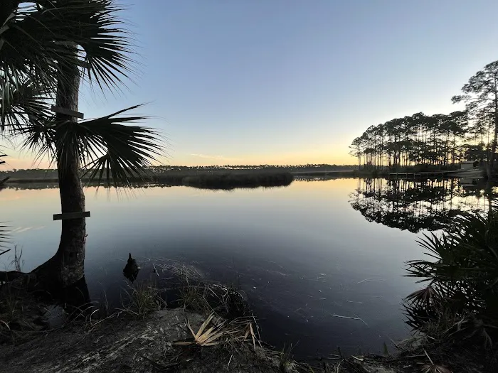 Tate's Hell State Forest Cash Creek Campground Picture 2