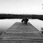 Tate's Hell State Forest Cash Creek Campground