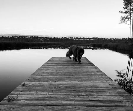 Tate's Hell State Forest Cash Creek Campground