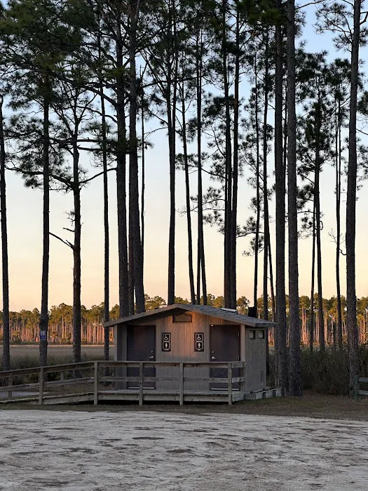 Tate's Hell State Forest Cash Creek Campground Picture 9