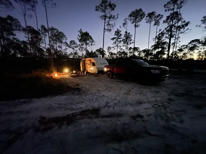 Tate's Hell State Forest Cash Creek Campground Picture 6