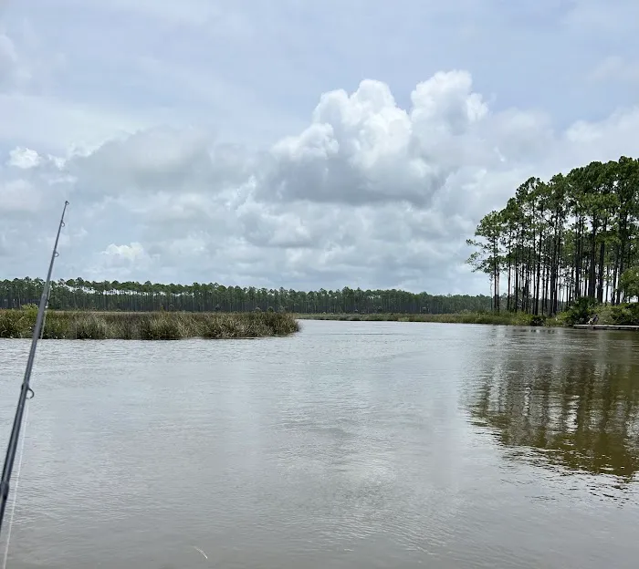 Tate's Hell State Forest Cash Creek Campground Picture 3