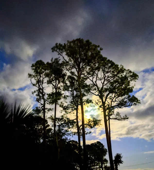 Coastline RV Campground Picture 8