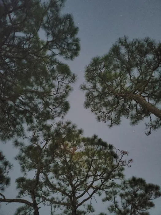 Bayshore Travel Park Picture 9