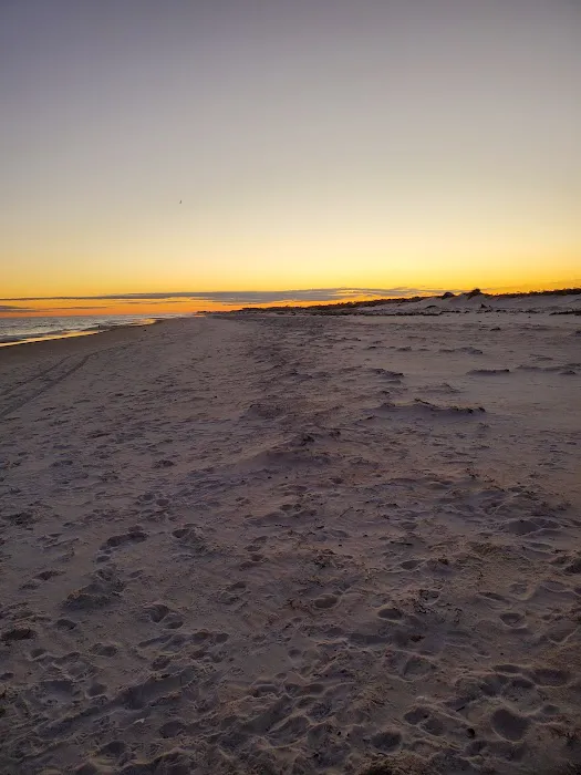 Bayshore Travel Park Picture 8