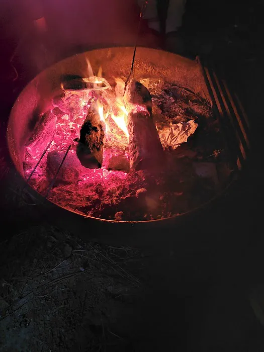 Bayshore Travel Park Picture 4