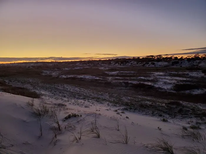 Bayshore Travel Park Picture 10