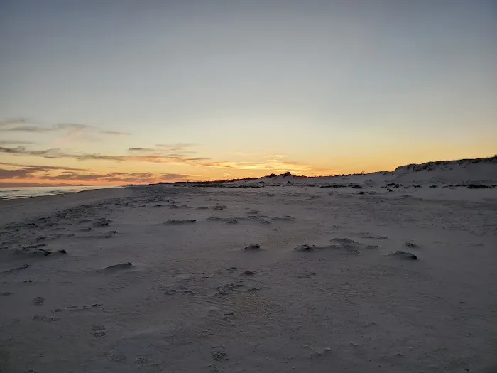 Bayshore Travel Park Picture 3