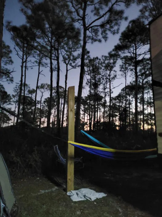 Bayshore Travel Park Picture 7