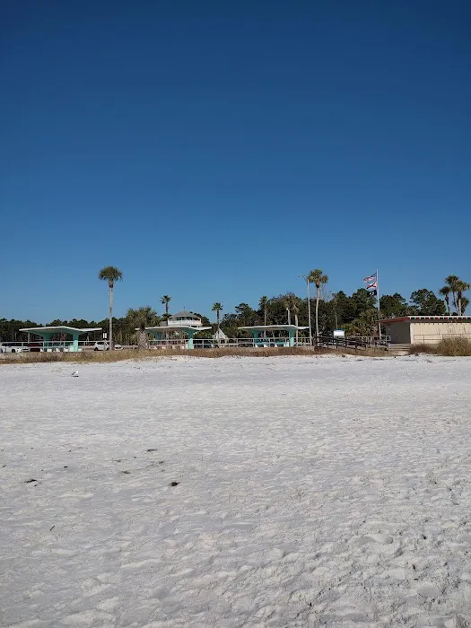 Carrabelle Beach RV Resort Picture 4