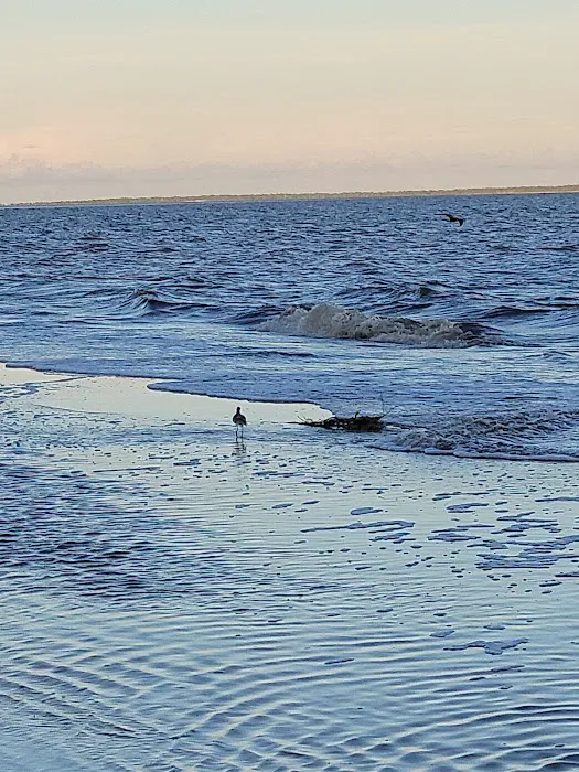 Carrabelle Beach RV Resort Picture 3