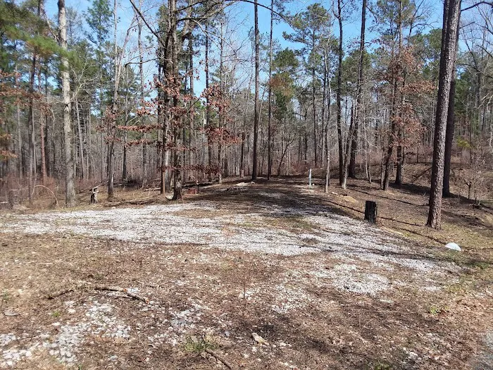 Payne Lake Eastside Campground Picture 5