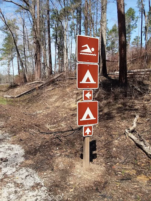 Payne Lake Eastside Campground Picture 7