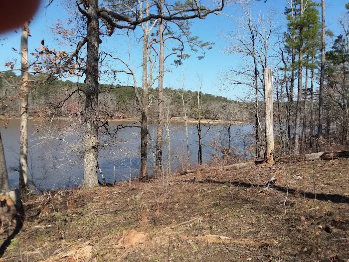 Payne Lake Eastside Campground Picture 8