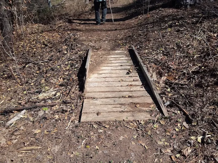 Payne Lake Eastside Campground Picture 6