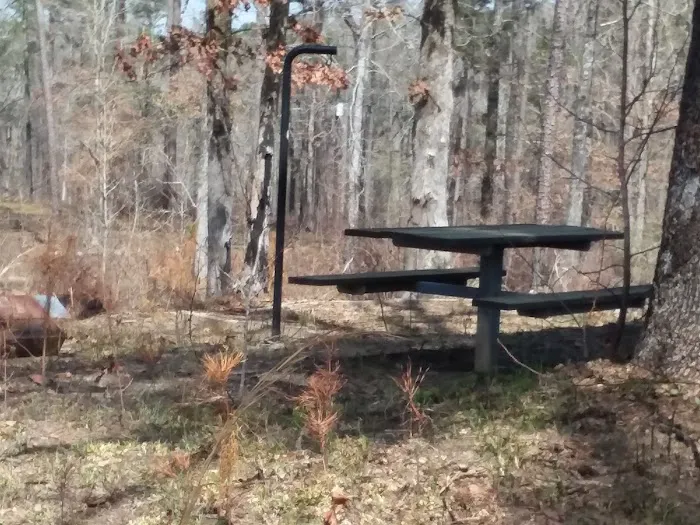 Payne Lake Eastside Campground Picture 2