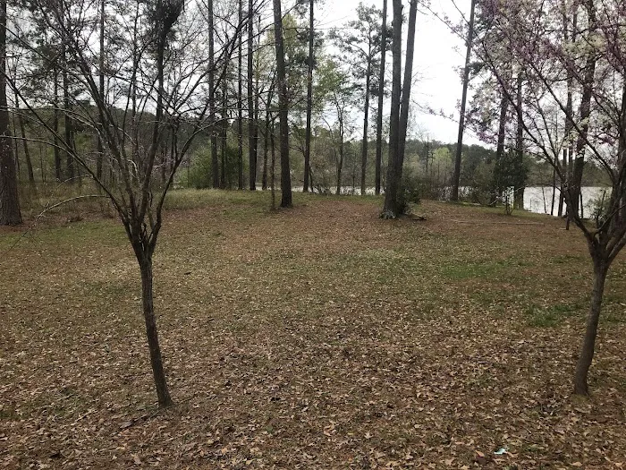 Payne Lake Eastside Campground Picture 9