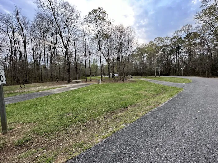 Jennings Ferry Park Campground Picture 9