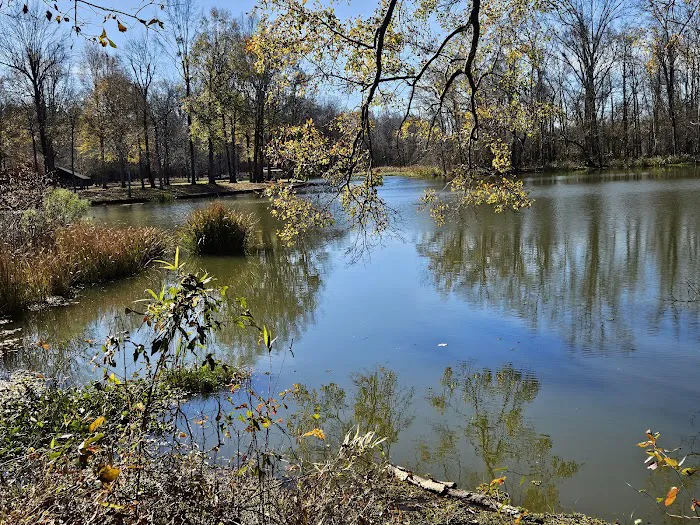 Jennings Ferry Park Campground Picture 1