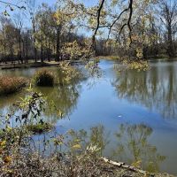 Jennings Ferry Park Campground ico