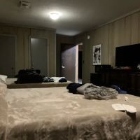 Camp-Woodpecker ico