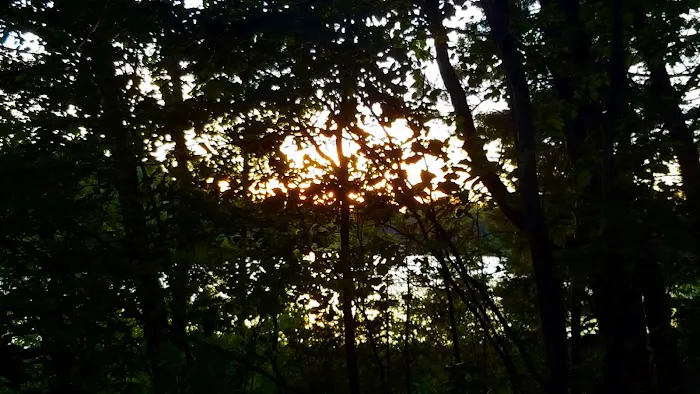 Hovey Lake Campground Picture 7