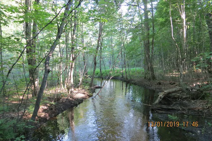 Magical Woods-Munising, MI Picture 6