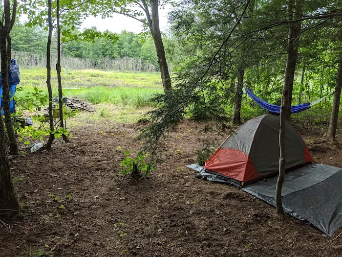 Magical Woods-Munising, MI Picture 3
