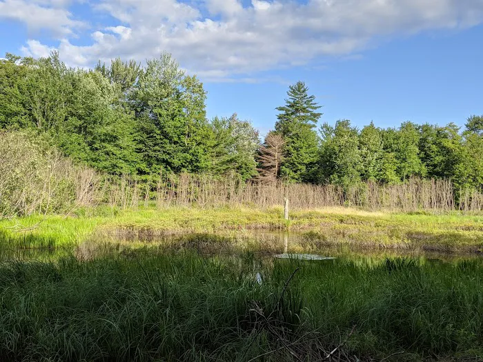 Magical Woods-Munising, MI Picture 7
