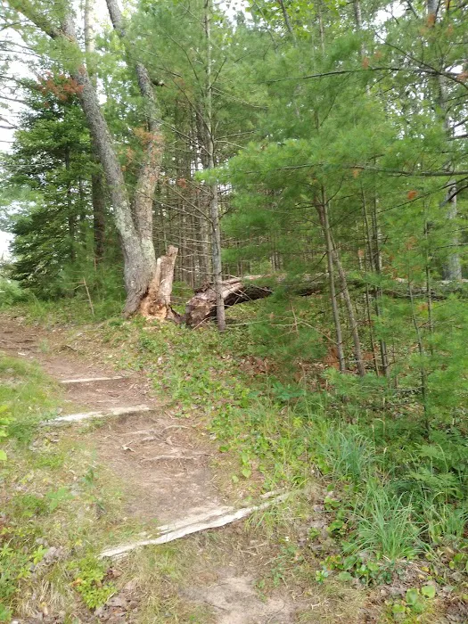 Island Lake Campground Picture 5