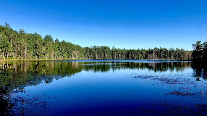 Island Lake Campground Picture 1