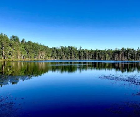 Island Lake Campground