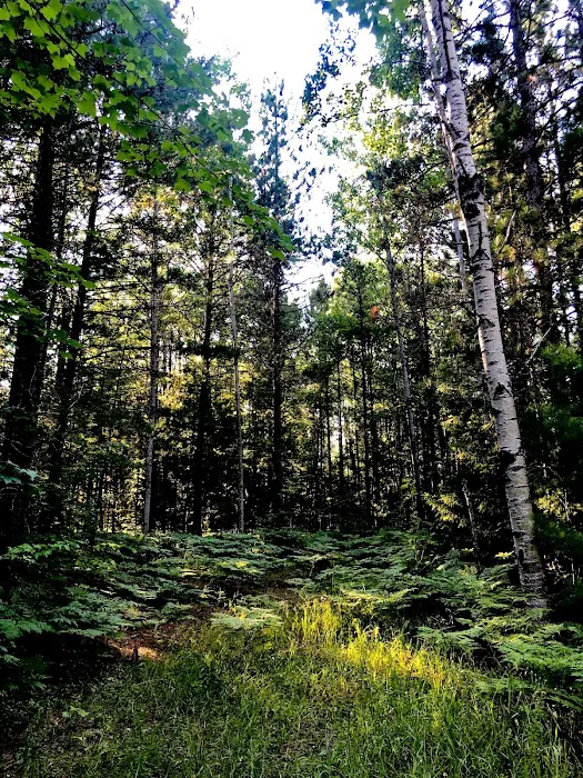 Island Lake Campground Picture 4