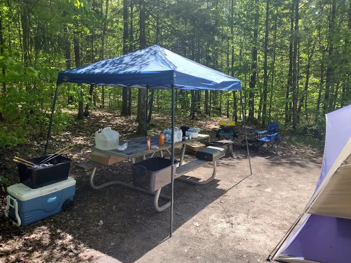 Council Lake Dispersed Campsite Picture 1