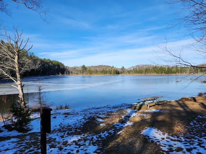Council Lake Dispersed Campsite Picture 6