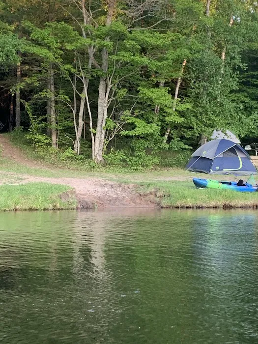 Council Lake Dispersed Campsite Picture 4