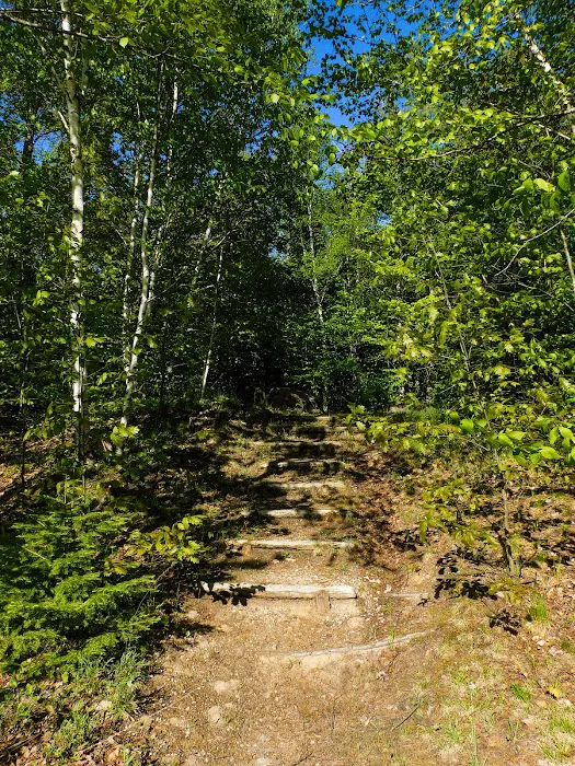 Council Lake Dispersed Campsite Picture 5