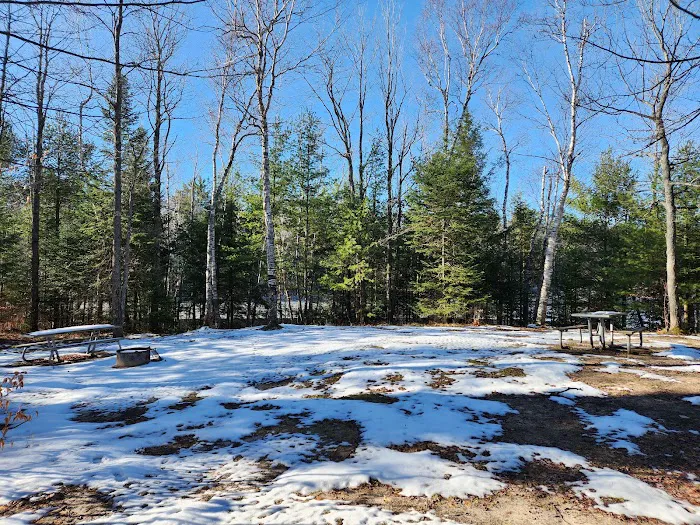 Council Lake Dispersed Campsite Picture 9