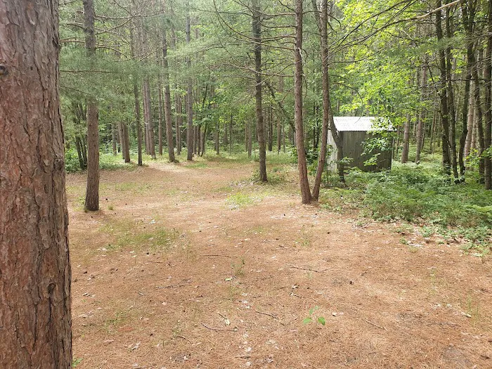 Swan Lake Campsites 2-4 Picture 13