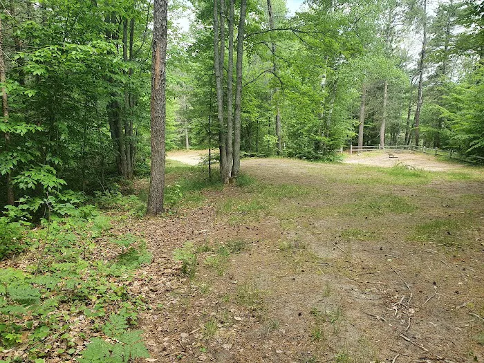 Swan Lake Campsite 1 and Boat Ramp Picture 7