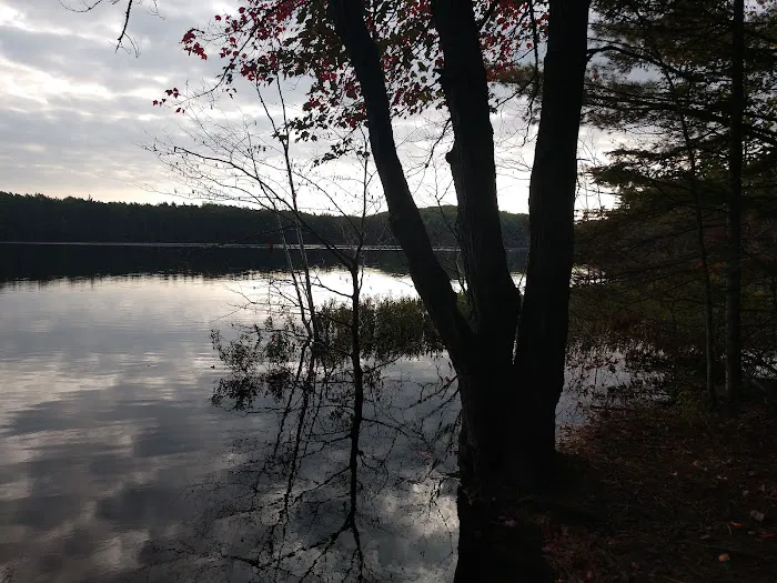 Swan Lake Campsite 1 and Boat Ramp Picture 3